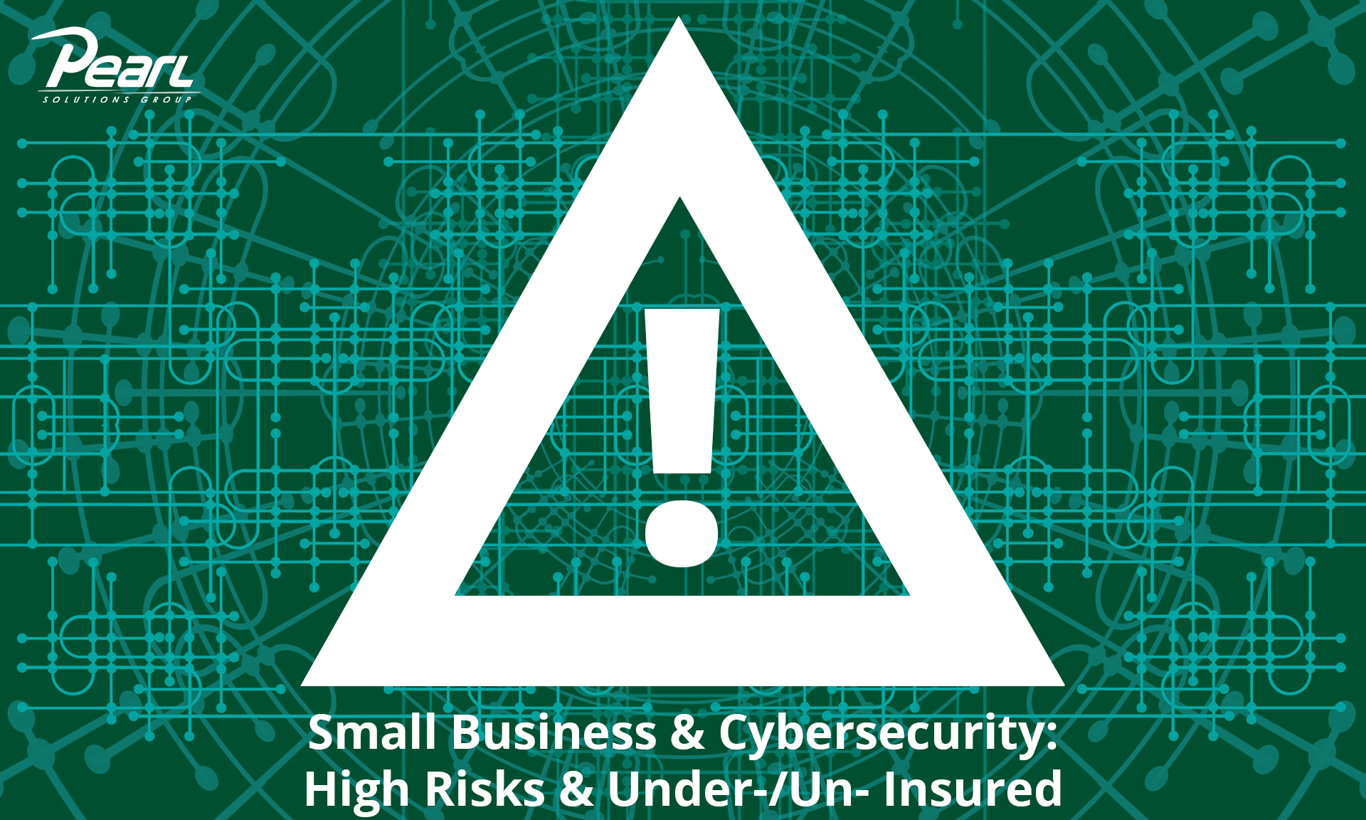 Small Business and Cybersecurity: High Risks and Under or Un Insured