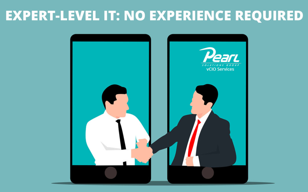 Expert-Level IT: No Experience Required