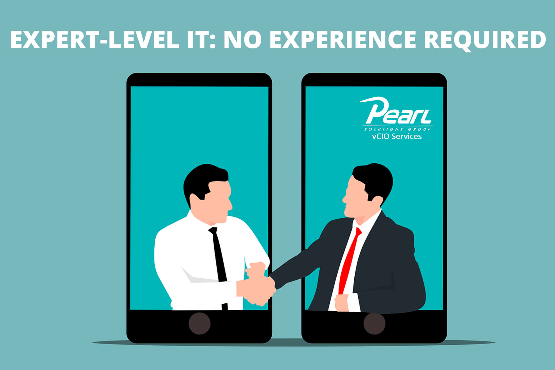 Expert Level IT No Experience Required