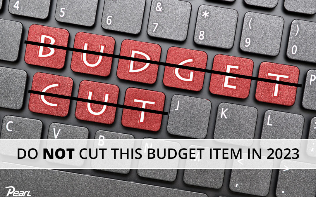 The one Budget you CANNOT Cut in 2023