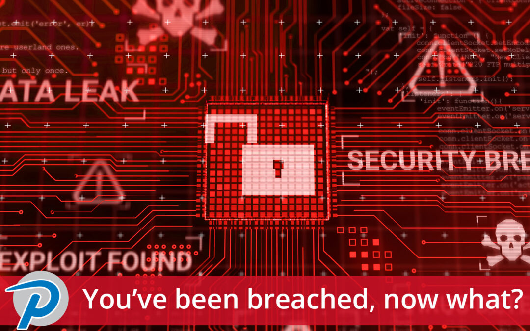 You’ve Been Breached, Now What?
