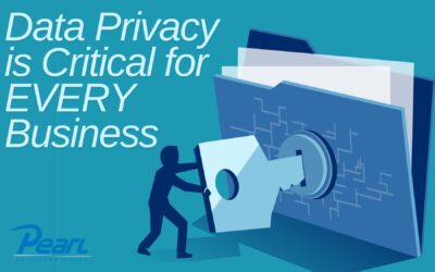 Data Privacy is Critical for EVERY Business